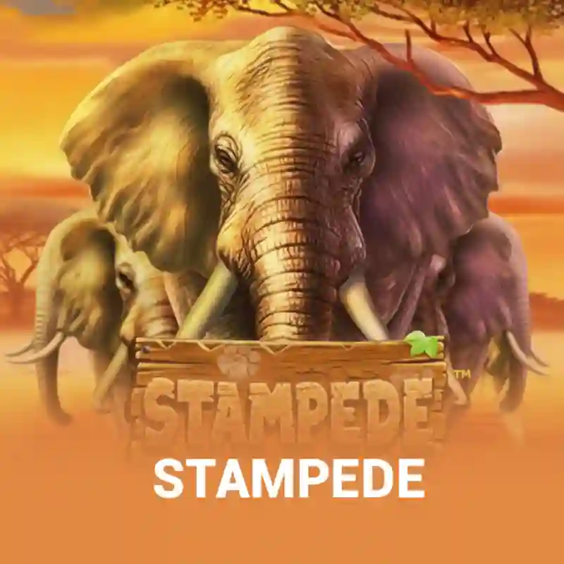 Stampede slot